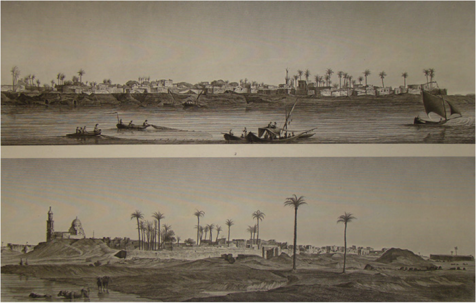 Rives du Nil lors de l'exploitation du Coton en Egypte